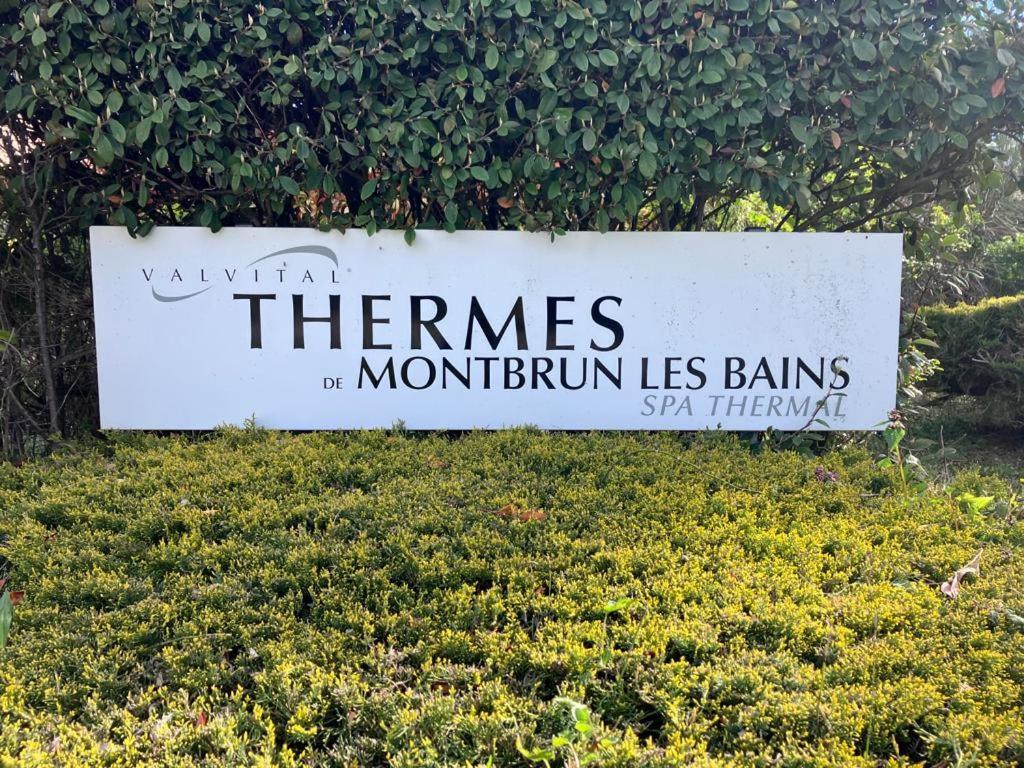 La Vue Est Belle Apartment Montbrun-les-Bains Ngoại thất bức ảnh